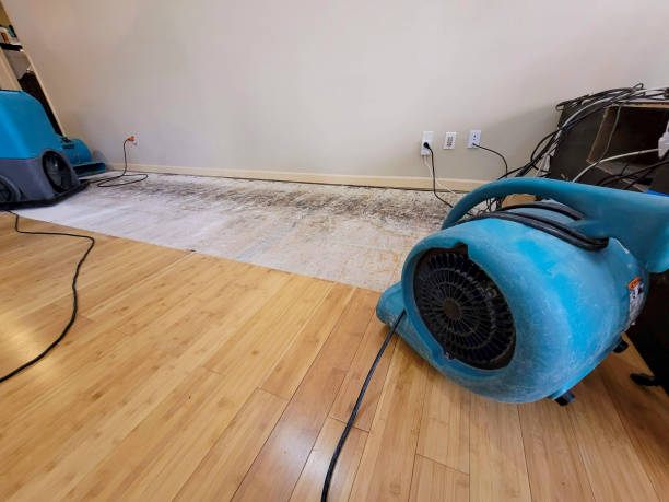 Professional Flood Damage Cleanup technician working in Clarksville, IA